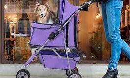 Small Dog Stroller