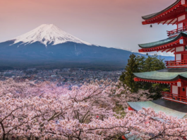 Best Places in Japan to See Sakura